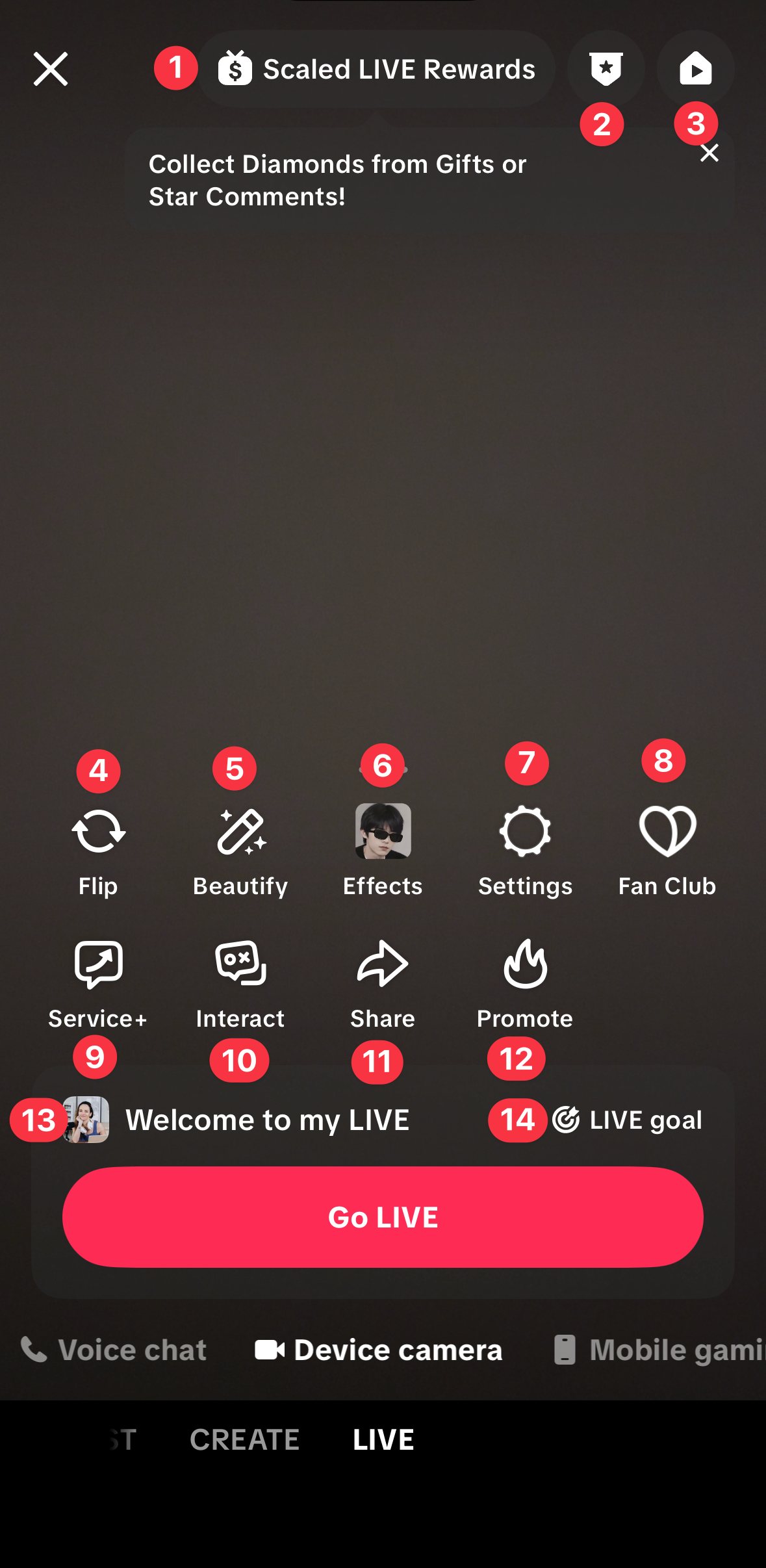 TikTok Live interface showing buttons for effects, settings, fan club, interaction tools, and a Go Live option, related to tiktok live setup.